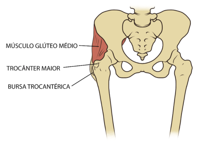 O que é bursite trocantérica ou do quadril? - SBQ | Sociedade Brasileira do  Quadril